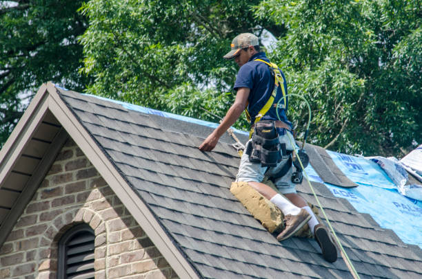 Best Shingle Roofing Installation  in Whidbey Island Station, WA